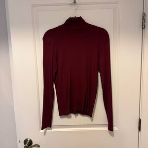 Everlane Deep Red Ribbed Turtleneck